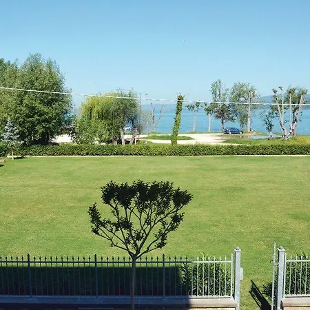 Mimosa * Torricella (Magione)